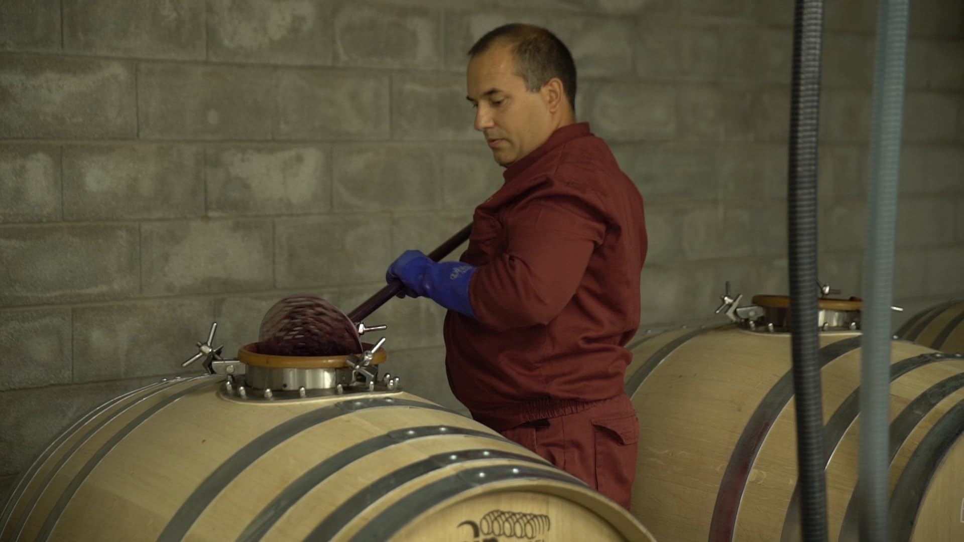 Protos Serie Privada Estuche Regalo 2 botellas 75 cl con descorchador | Vino Tinto Ribera del Duero - Variedad Tempranillo 100%