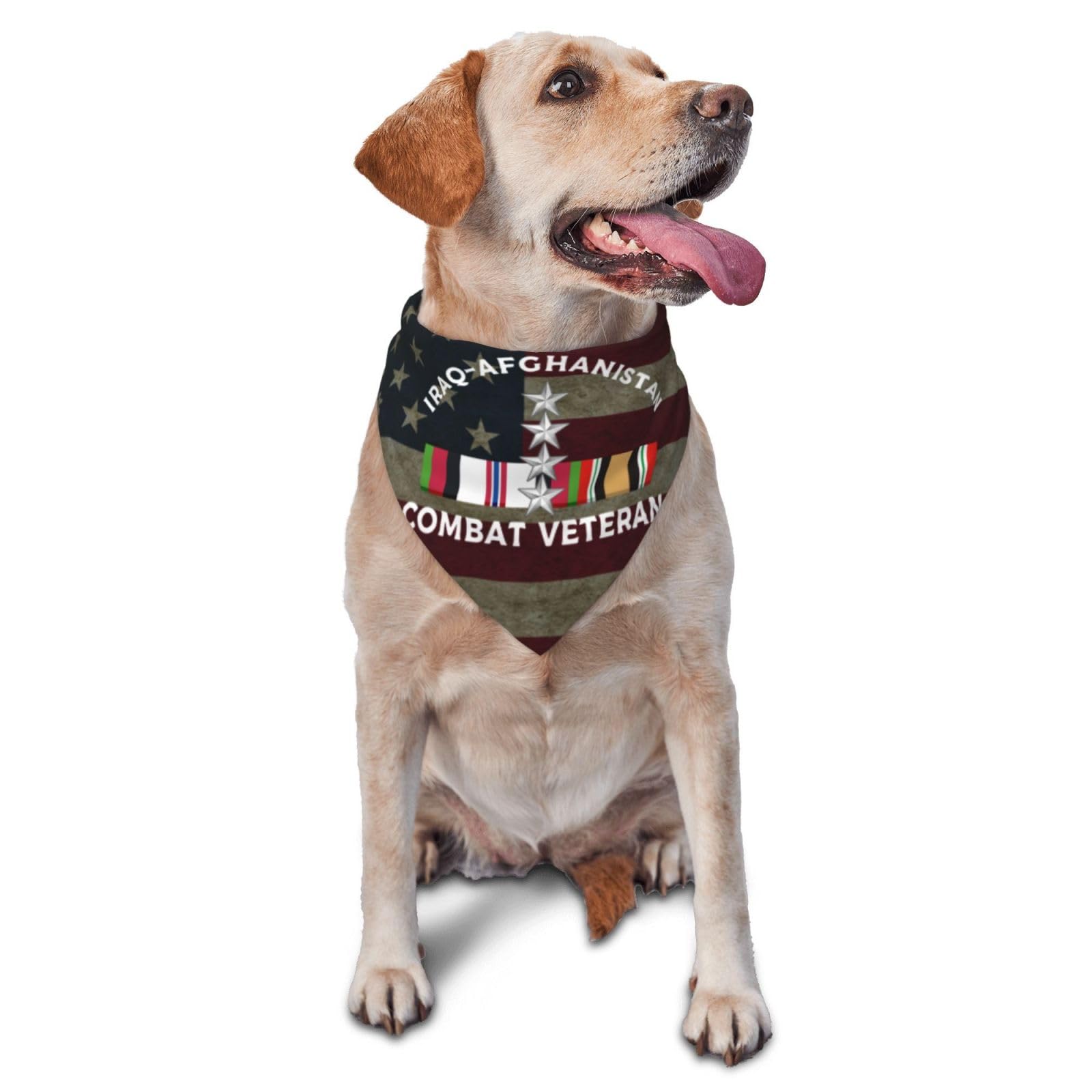 US Army O-10 General O10 GEN General Officer Ranks Iraq-Afghanistan Combat Veteran Dog Scarf Pet Bandana Cat Pet Bibs