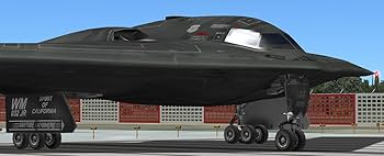 Amazon.co.jp: イーフロンティア フライトシミュレータ X プレイン 10