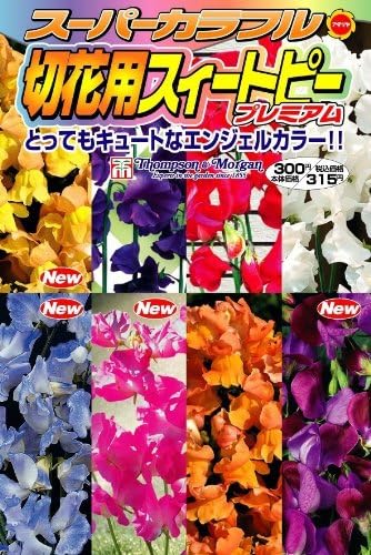 Amazon アタリヤ農園 ガーデニング用品 種 スーパーカラフル切花用スイートピー プール 屋外サウナ