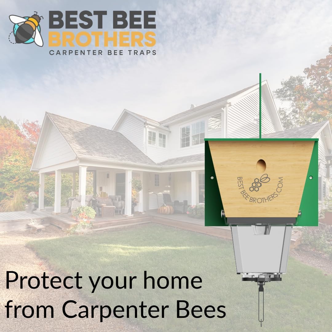 Best Bee Brothers Ultimate Pro Carpenter Bee Trap for Outside with Extra-Large, Clear External Receptacle, Internal Bee Vault & Spring-Loaded Door, 4.2” D x 5.8” W x 7.5” H