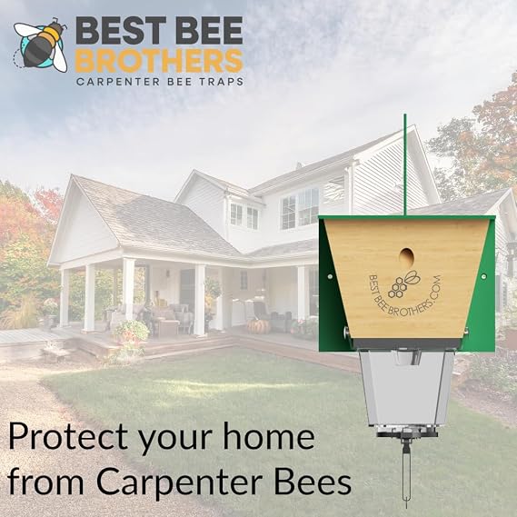 Best Bee Brothers Ultimate Pro Carpenter Bee Trap for Outside with Extra-Large, Clear External Receptacle, Internal Bee Vault & Spring-Loaded Door, 4.2 D x 5.8 W x 7.5 H