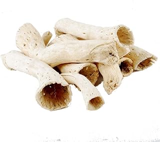 NWFashion 10Pcs Nautical Weathered Driftwood for Decorating, Creating and Embellishing Natural Home Decoration 4.2-6inches