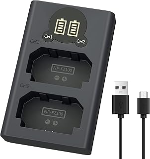 NP-FZ100 Camera Battery Charger, LP Dual USB Charger with LCD Display, Compatible with Sony A6600 A9 A9R A9S A9II A7C A7S A7SIII A7III A7RIII A7RIV A7IV Cameras, Charging Station for Sony NP-FZ100