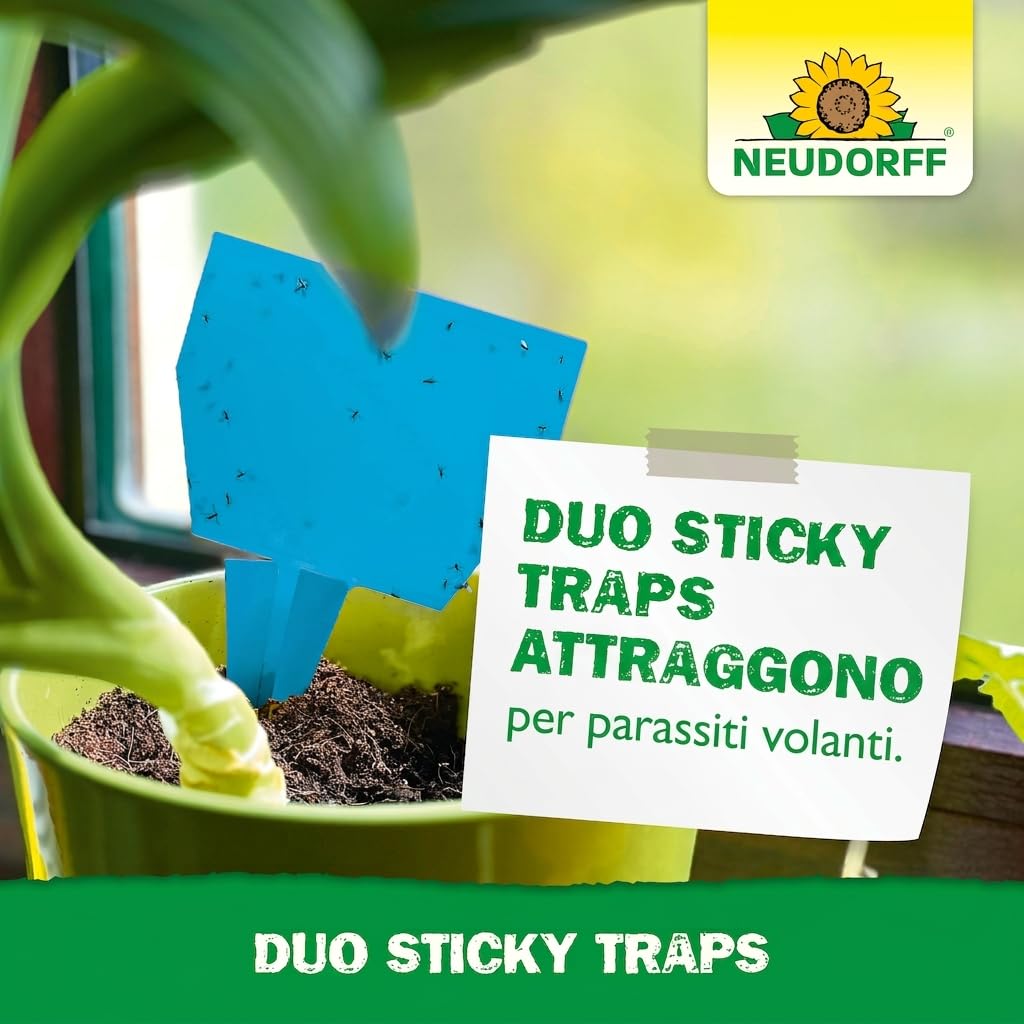 Neudorff Duo Sticky Traps – Trappole adesive blu contro i tripidi e trappole adesive gialle contro i moscerini sciaridi. Senza insetticidi, 20 pezzi