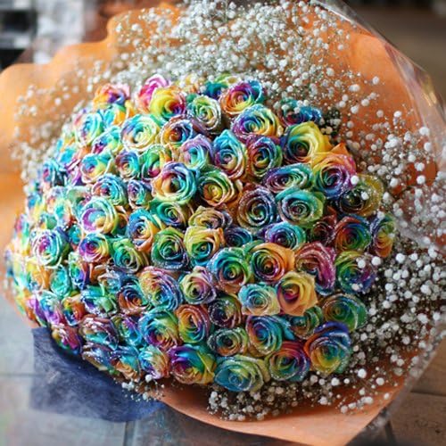 キラキラレインボーローズ 七色ばら 100本の花束 オランダから空輸 奇跡 ラメ付きレインボーバラとキラキララメ白いかすみ草付き 花言葉 無料サンプルok キラキラレインボーローズ 七色ばら 100本の花束 オランダから空輸 奇跡 ラメ付きレインボーバラとキラキララメ白いかすみ草付き 花言葉 無料サンプルok