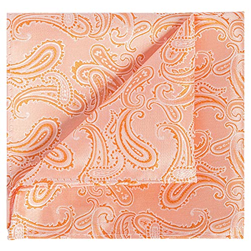 Image of KissTies Mens Paisley Tie And Pocket Square Necktie Sets