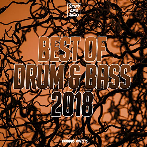 Best of Drum & Bass 2018 by VARIOUS ARTISTS on Amazon Music