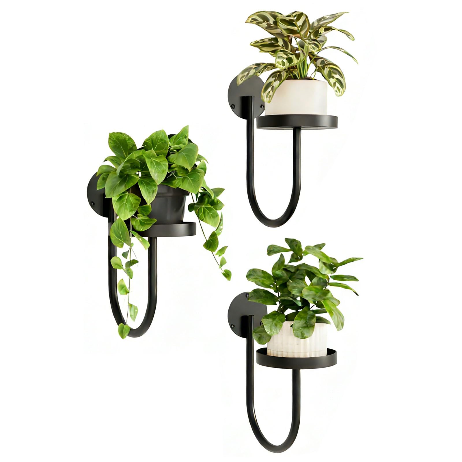 carotoe 3Pcs Multifunctional Plant Stand for Various Indoor Plant Wall Mounted Design with Hardware Planter Hanger Racks Indoor Display