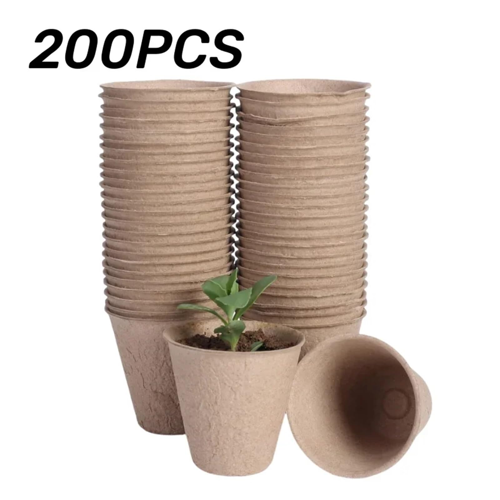 Générique 20 à 200 Pots Ronds en Tourbe for Jardin, Godets de semis, Plateaux Plantation for Herbes aromatiques et Outils(200PCS)