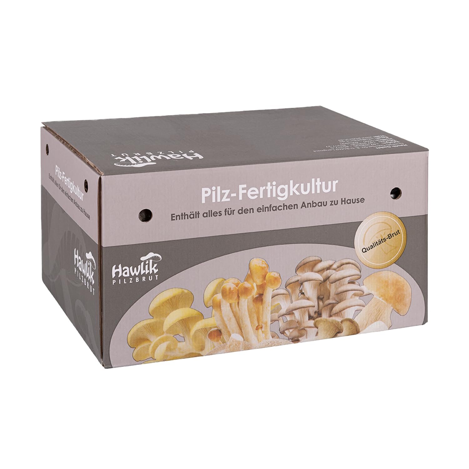 Hawlik Pilzbrut - Pholiote Nameko Kit de culture de champignons Biologique - Facile à cultiver soi-même – Kit de culture prêt a pousser pour la maison – Kit champignon à faire pousser avec mycélium
