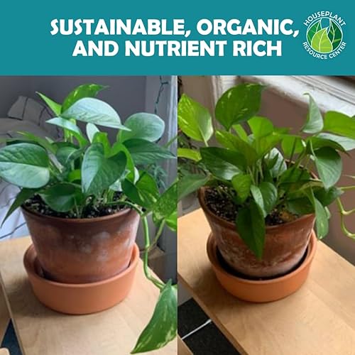 Miniatura 5 de Polvo probiótico orgánico para plantas de interior y acondicionador de suelo  Mejora la estructura del suelo, equilibra el pH, mejora la