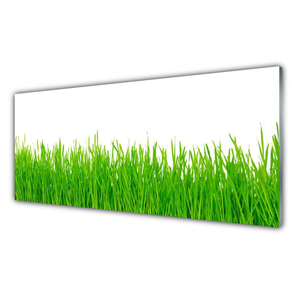 Impression sur verre trempé Tulup 125x50 cm | Tableau mural nature