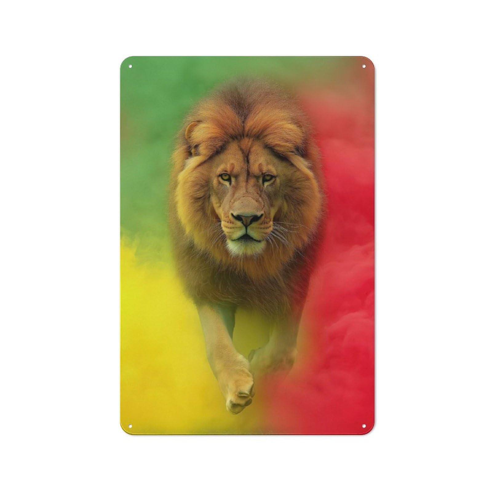 Junmoney Rasta Lion Retro-Style Metal Plaque 30X20cm For Garage Or Workshop, For Garage, Workshop And Man Cave Decoration