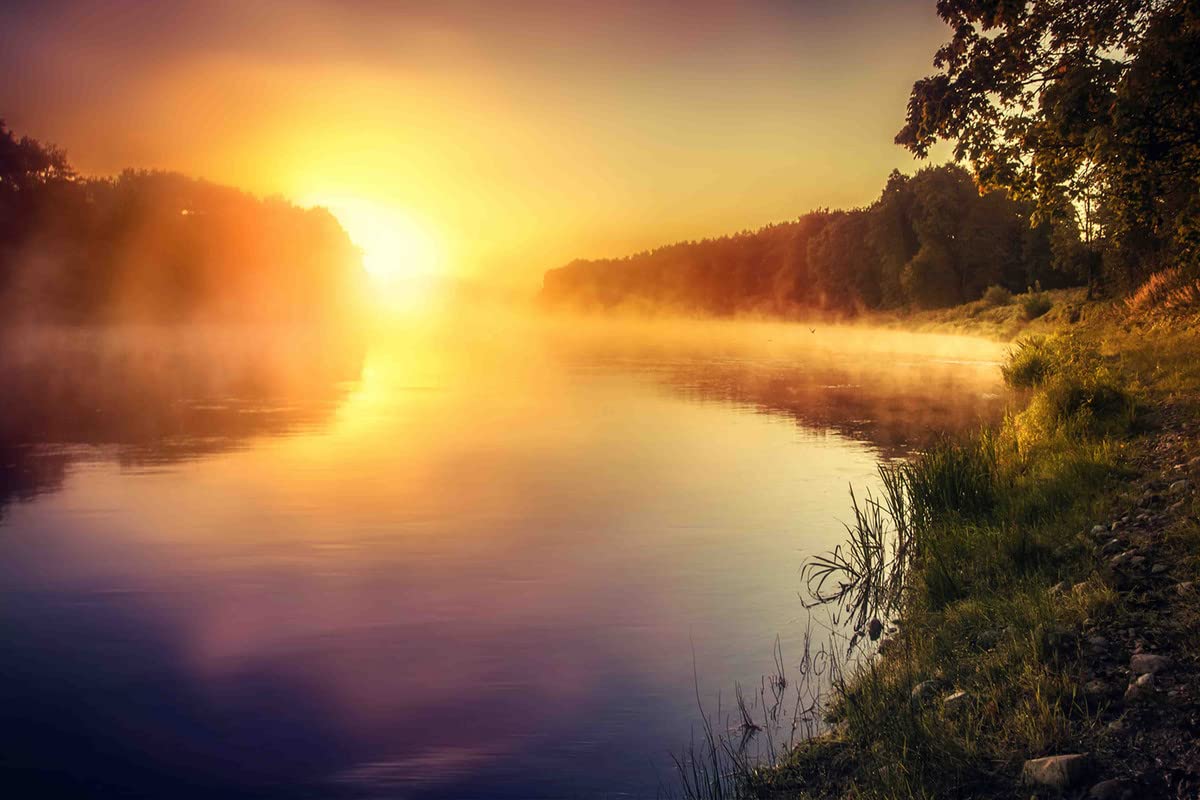 Yellow Alley Unframed Nature Sunset Decorative Wall Poster For Living Room, Cafe, Hall|1Pc