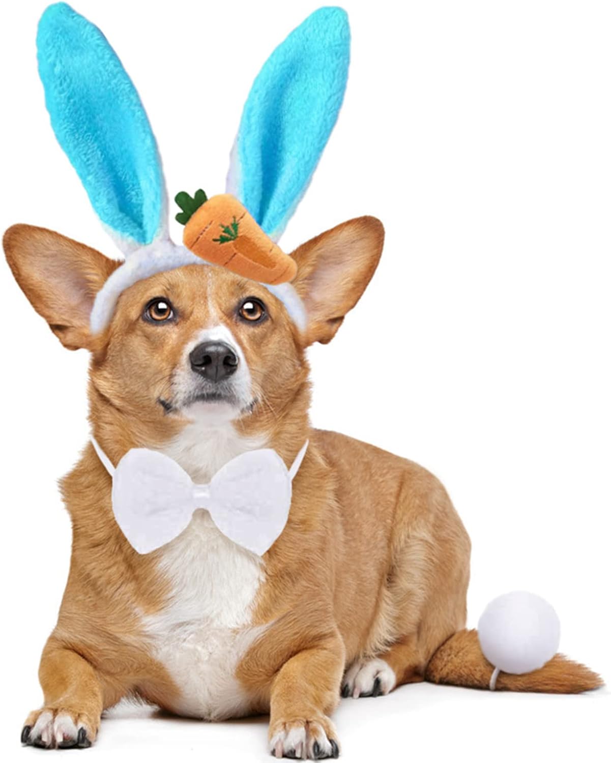 Dog Bunny Costume, Bunny Ears for Dogs, Easter Dog Bow Tie and Rabbit Tail