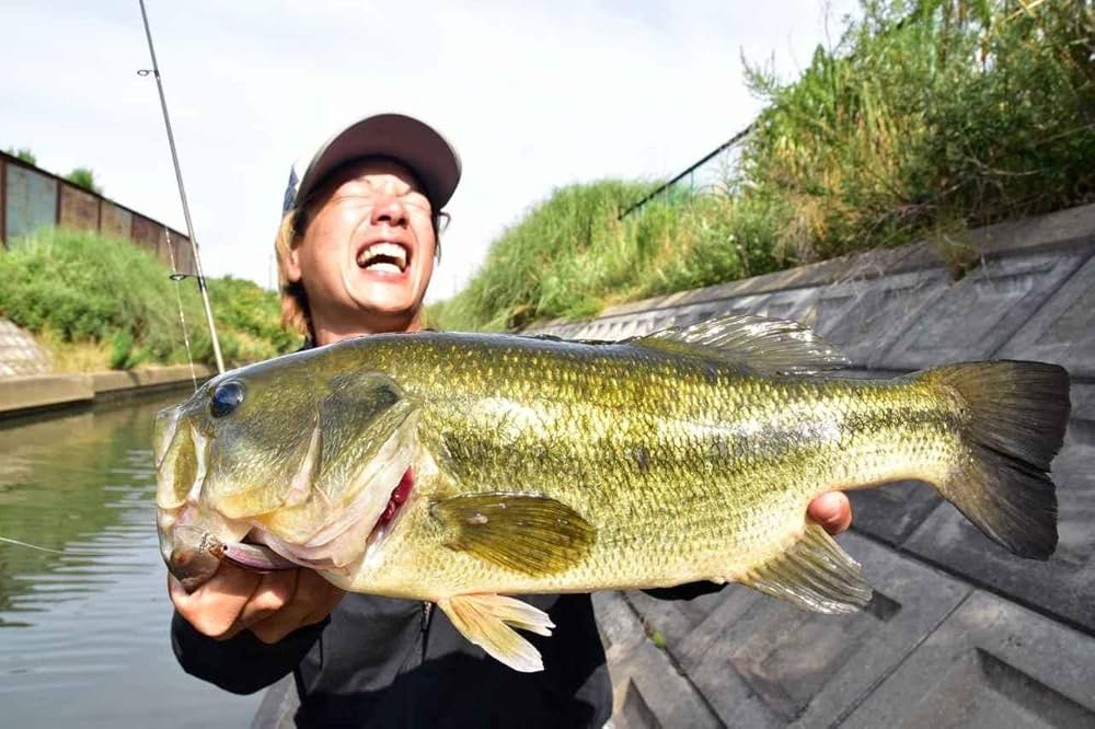 川村光大郎 DVDセット 川村光大郎 DVDセット 楽天市場】dvd 川村