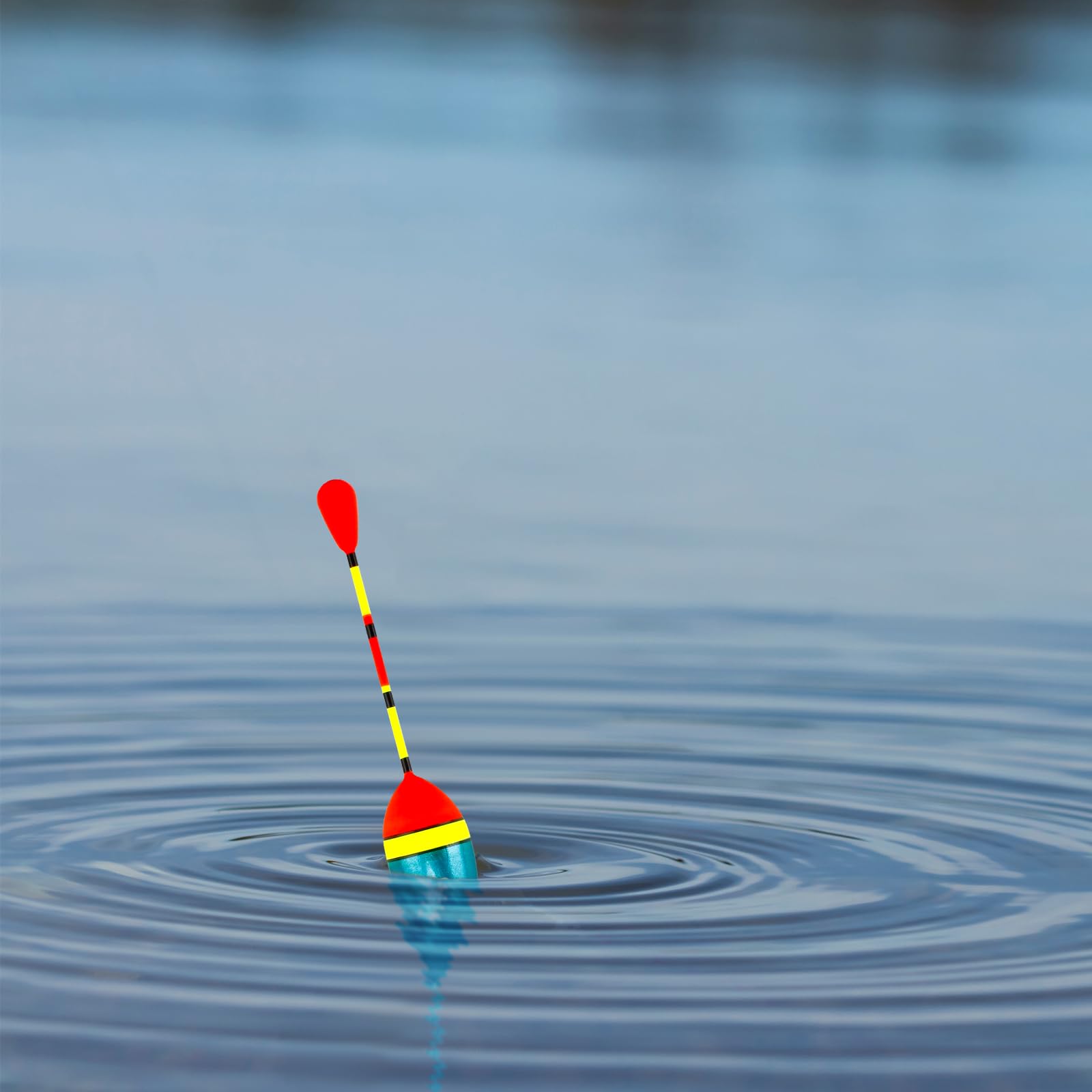 VIPMOON 10 Pièces Flotteurs de PêChe, Flotteurs ovales, Haute Sensibilité Flotteur Convient à la Plupart des Types de pêche. (0.6g/0.8g/1.2g/2.5g/3g/4.5g)