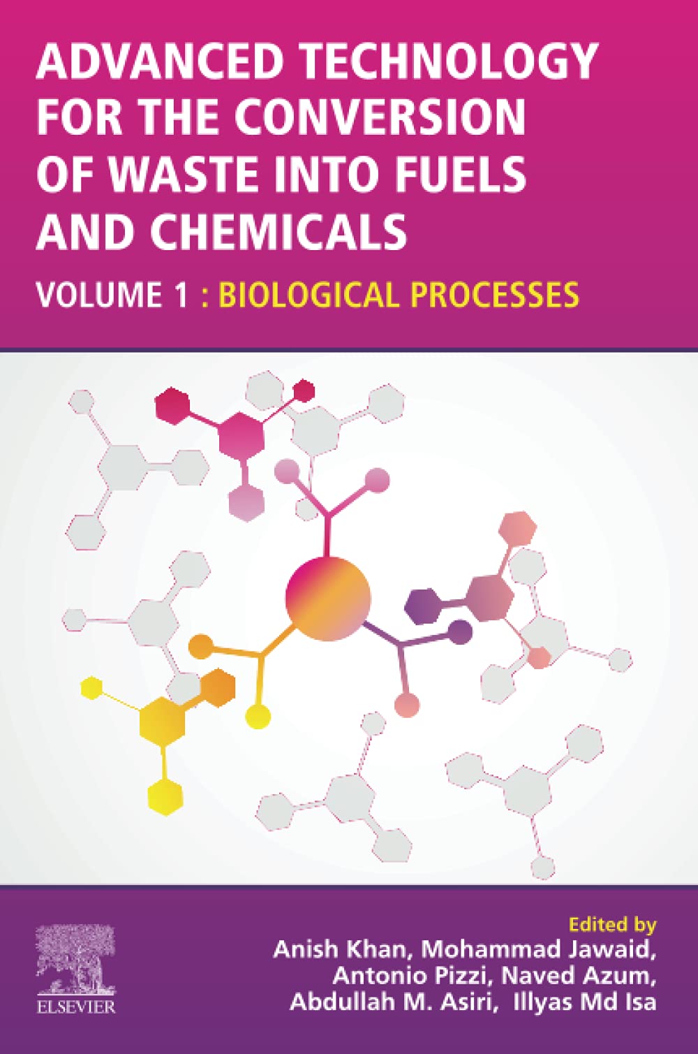Advanced Technology for the Conversion of Waste into Fuels and Chemicals: Volume 1: Biological Processes
