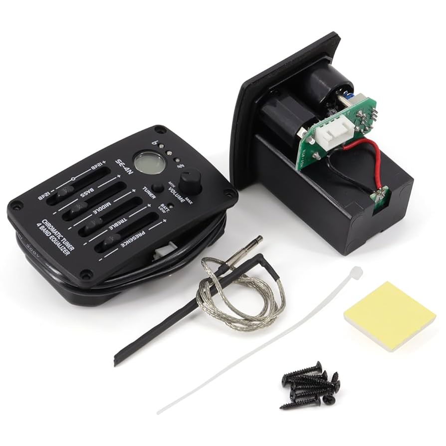 ギター Brown Sound Equation Amazon.com: Recording King Series 11 6 String Acoustic