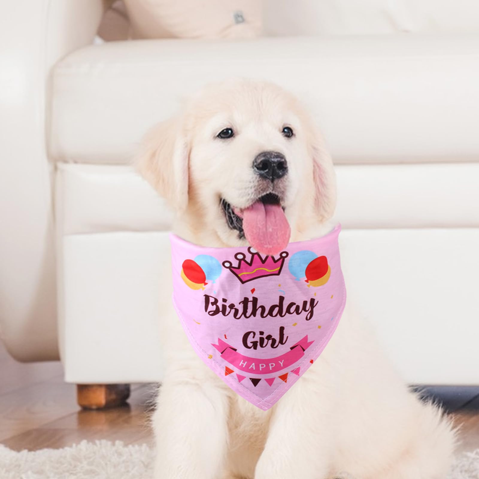 Personalisiertes Hundehalstuch – Individuell Bedruckbar Mit Foto Oder Text Für Kleine, Mittlere & Große Hunde