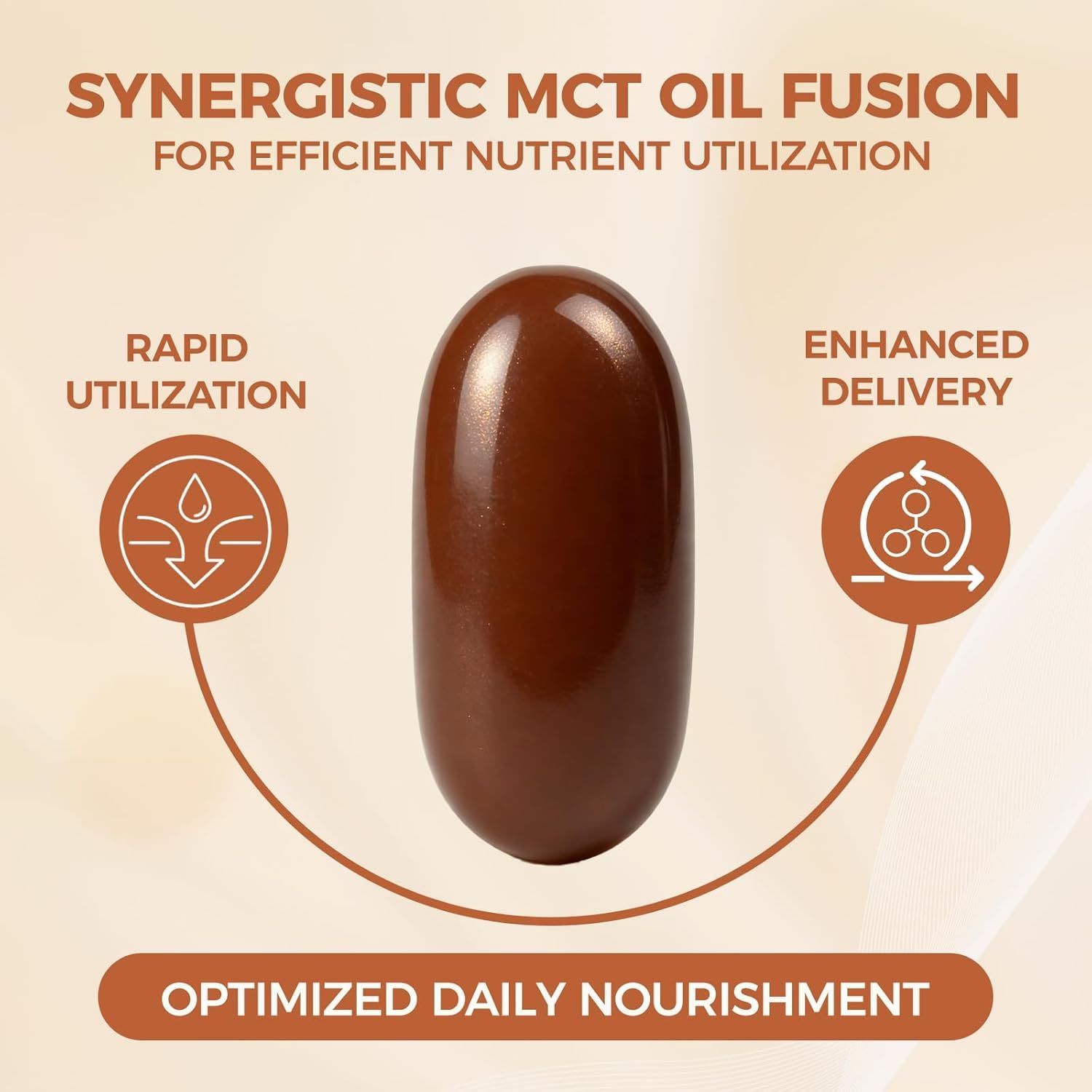 Cannelle de Ceylan, authentique, contient de l'huile MCT, antioxydante, maintient l'équilibre corporel, sans OGM, sans gluten