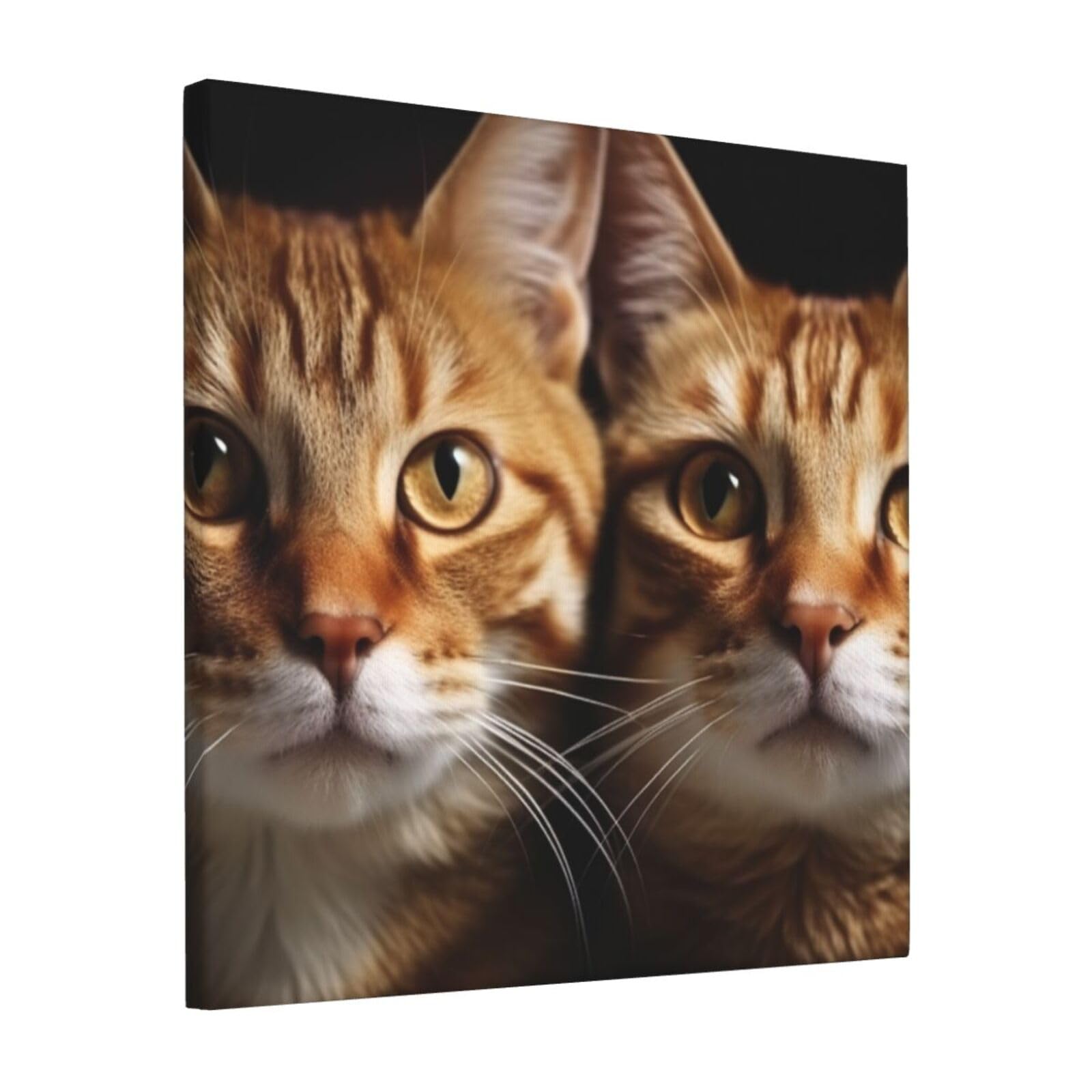 KLOPH Cats Canvas Wall Art for Living Room 12"x12" Modern Artwork Painting for Bathroom Hanging Canvas Prints Aesthetic Wallart for Bedroom Kitchen Office Wall Decor