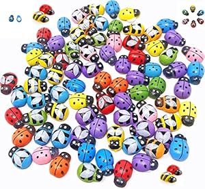 YSTrillion Holzmarienkäfer 100 Stücke Bunt