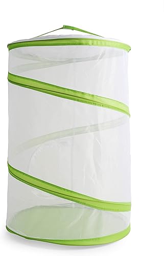 Kit de mariposa y jaula de hábitat de mariposa para captura de insectos, jaula plegable de malla para hábitat, para kit de cultivo de mariposas