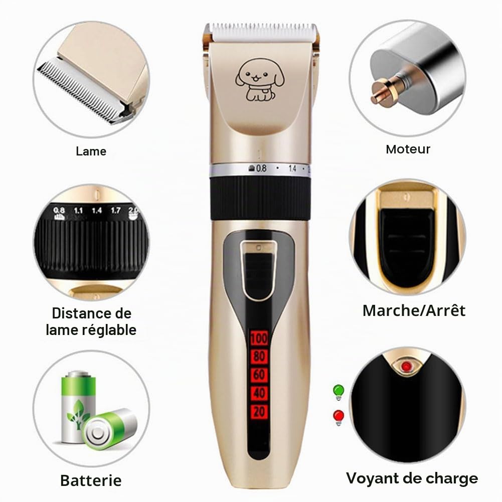 Tondeuse Chien Professionnelle Poil Long Epais Tondeuse Electrique Tondeuse pour Chien et Chats Rechargeable Tondeuse Sans Fil pour Animaux de Compagnie