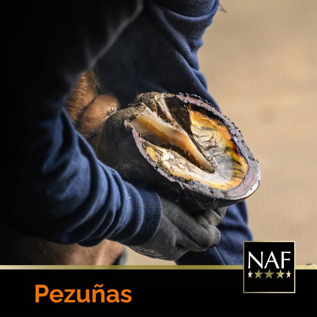 NAF Profeet Hoof Moist Natural 900 g – Apósito hidratante para pezuñas para Caballos – Mantiene la Humedad y flexibilidad de la pezuña – con aceites Naturales para el Cuidado Diario de Las pezuñas | Hidrata las pezuñas para ayudar a prevenir grietas y gri