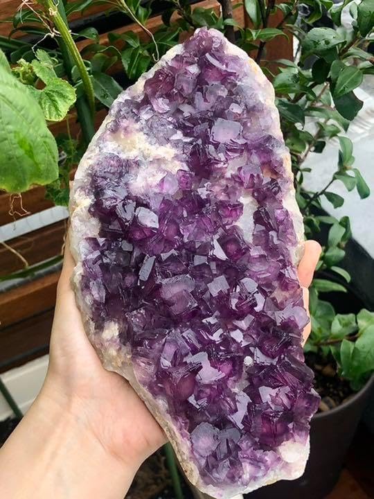 【厳選 稀少 】パープルフローライト クラスター　蛍石 鉱物  標本結晶　原石 厳選 稀少 】 パープルフローライト クラスター 蛍石 鉱物 標本結晶