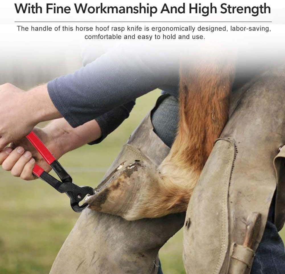 Juego de herramientas para recortar cascos de herrador de caballos Juego de herramientas profesionales para recortar cascos de caballos con cizallas de metal para caballos equinos y cortador de pezu