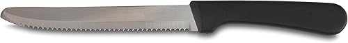 AME D'ESSENCE Juego de 12 cuchillos para carne de acero inoxidable, borde dentado de 5 pulgadas, punta redonda, mango de plástico, ideal para