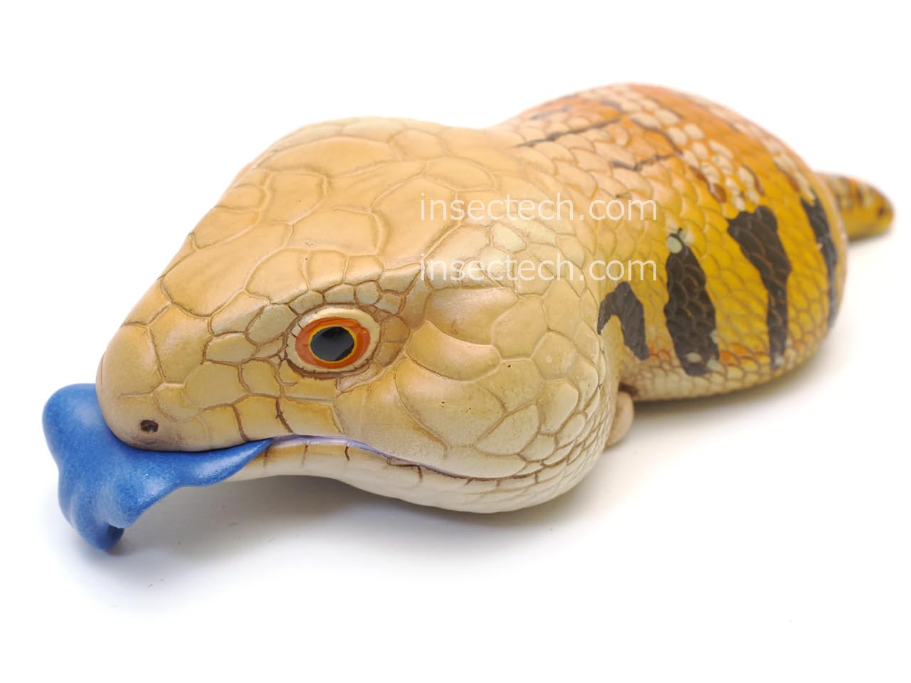 Amazon | 【動物の惑星】アオジタトカゲ フィギュア完成品