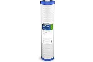 Pentair Pentek Big Blue EP-20BB Carbon Whole House Water Filter