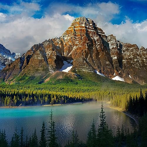 『Esteja Aqui e Agora | Mooji em Portugu&ecirc;s (Medita&ccedil;&atilde;o Guiada)』のカバーアート