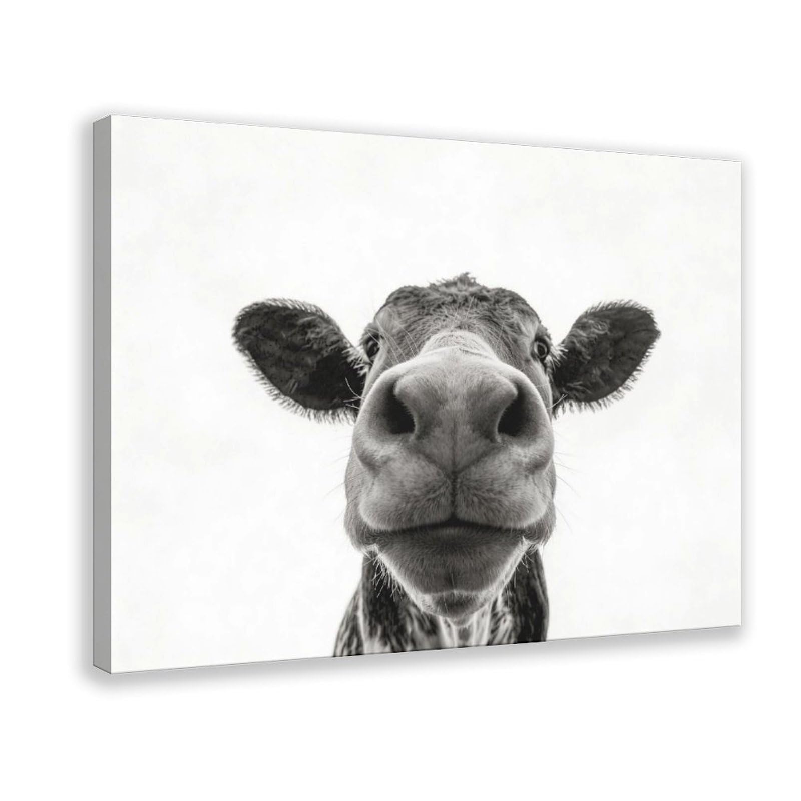 Bareronor Funny Cow Black-and-White Poster (2) Canvas Poster Wall Art Decor Print Picture Paintings for Living Room Bedroom Decoration 24" L X 36" W