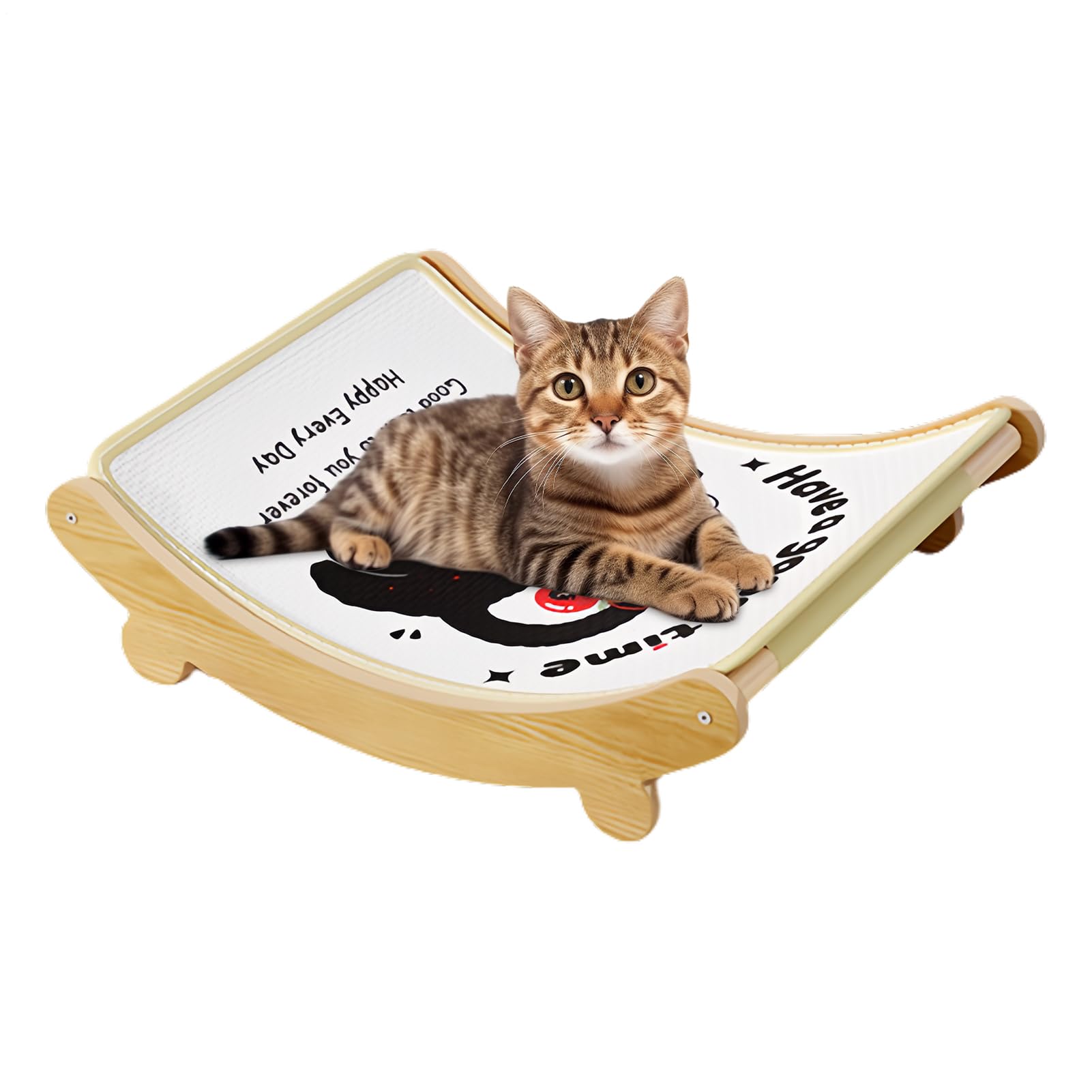 Griffoir pour chat et tapis d'intérieur interactif pour sol et canapé