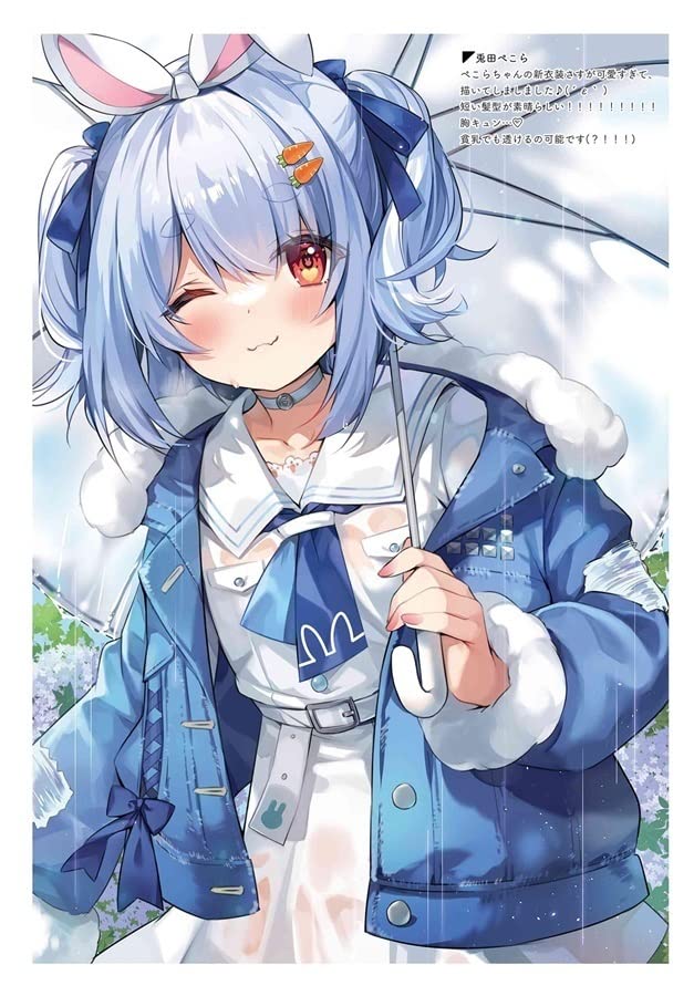 Amazon.co.jp: 「HOLO×NURESUKE」特典クリアファイル付ハチゴ イラスト