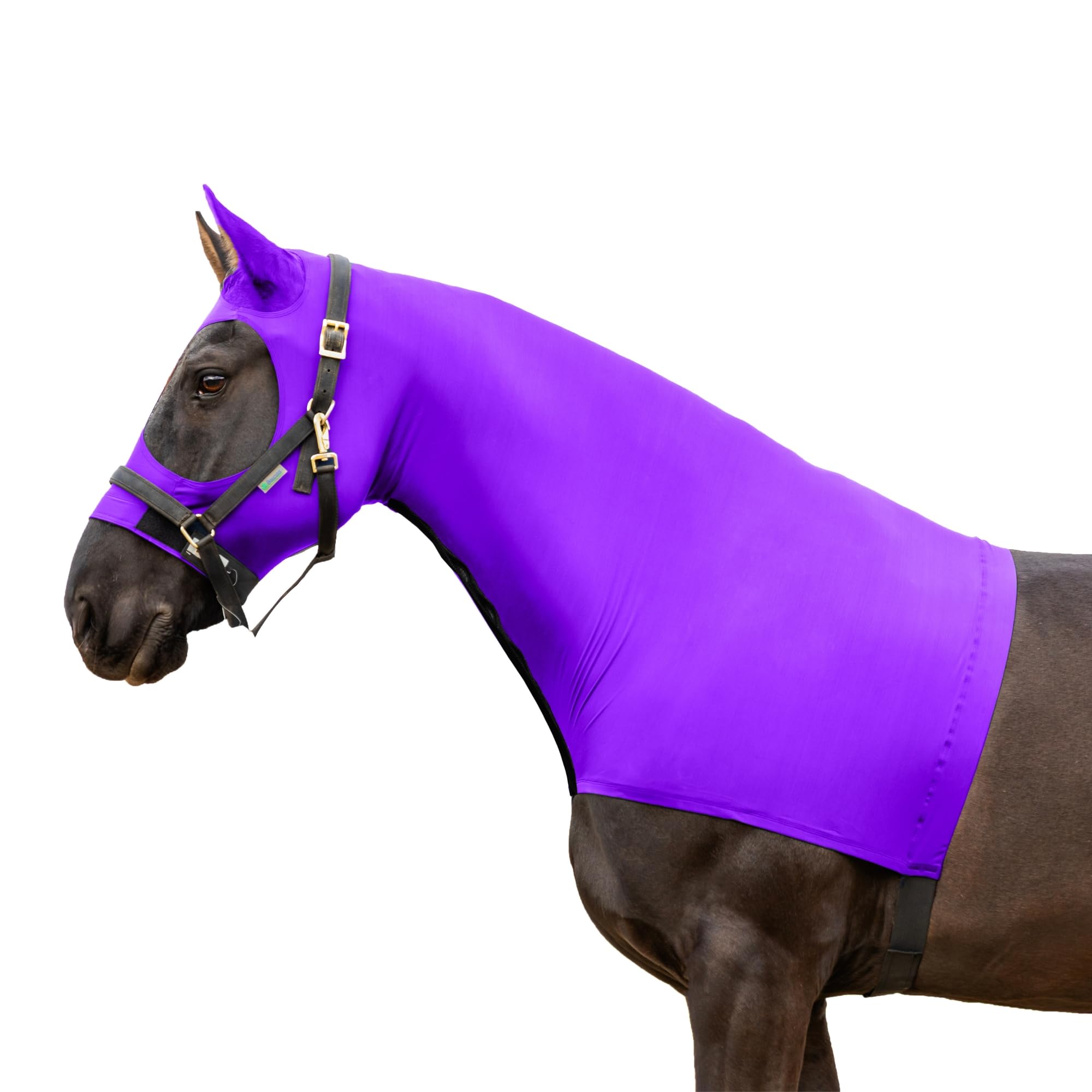 Resistance Horse Hood Slinky Lycra Zippered Mane Braid Shoulder Guard - Horse Sleazy Slickers Care Sheet