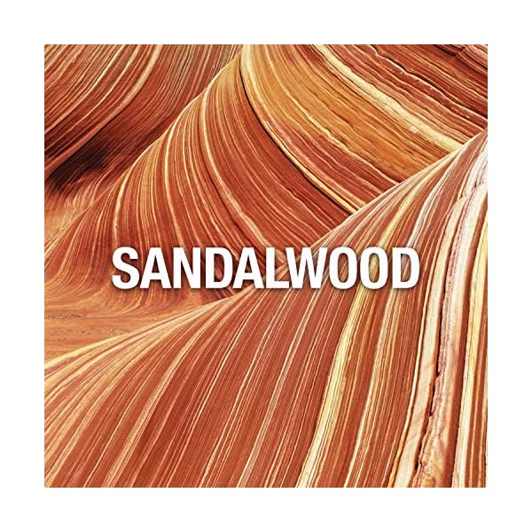 Giorgio Beverly Hills Wings for Women, Eau De Toilette Spray, 3-Ounce