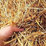 1 Cubic Foot of 100% All Natural Wheat Straw (4lbs)