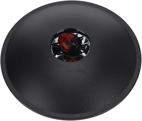 Pssopp Juguete de mirascopio 3D, ilusión óptica, proyección de imagen, holograma, creador de imágenes con modelo de mariquita, regalo para niños y