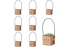 Get Stunning Succulent Wraps!