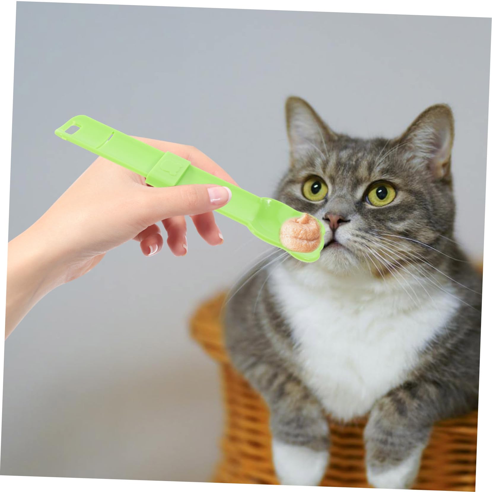 Cucchiaio Per Cibo Per Gatti Distributore Di Cibo Umido Spatola Per Gatti Paletta Per Strisce