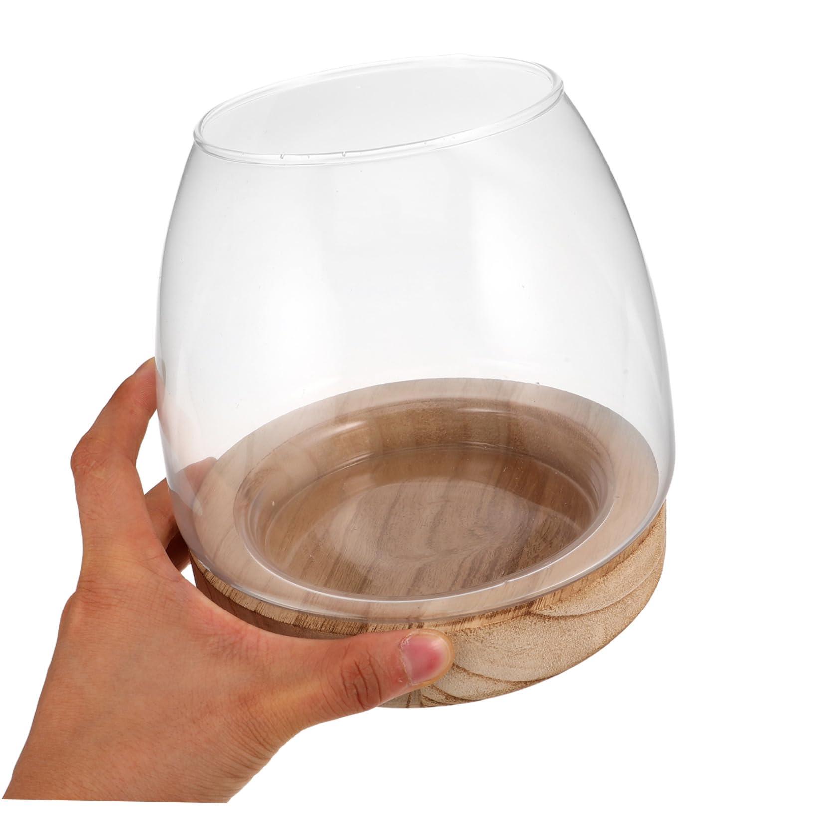 Vase Hydroponique Verre avec Base Propagation Eau Facile Décor de Table Élégant pour Plante Intérieur et Aquarium Miniature