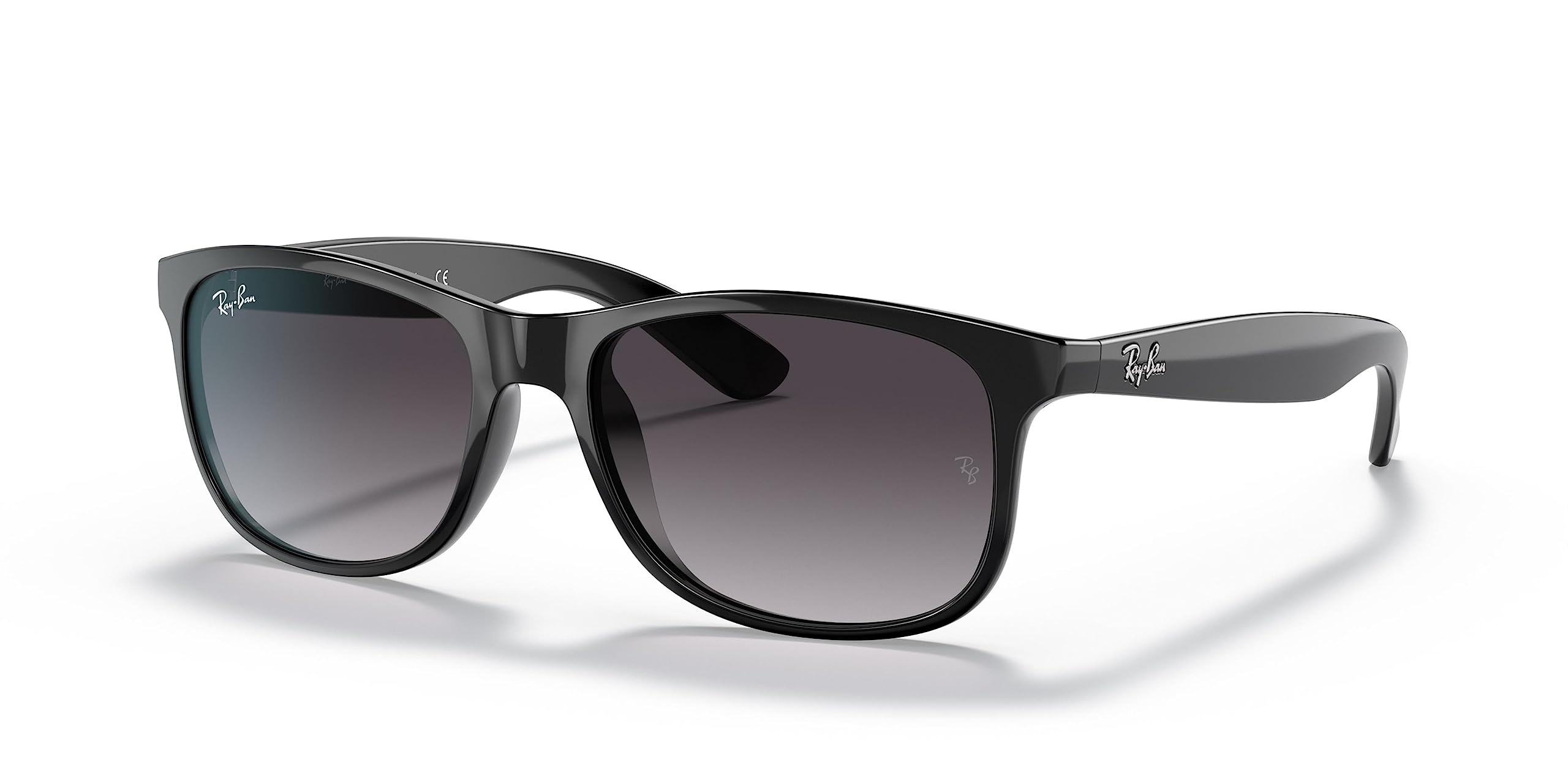 Rb4202 Andy Rectangular Sunglasses
