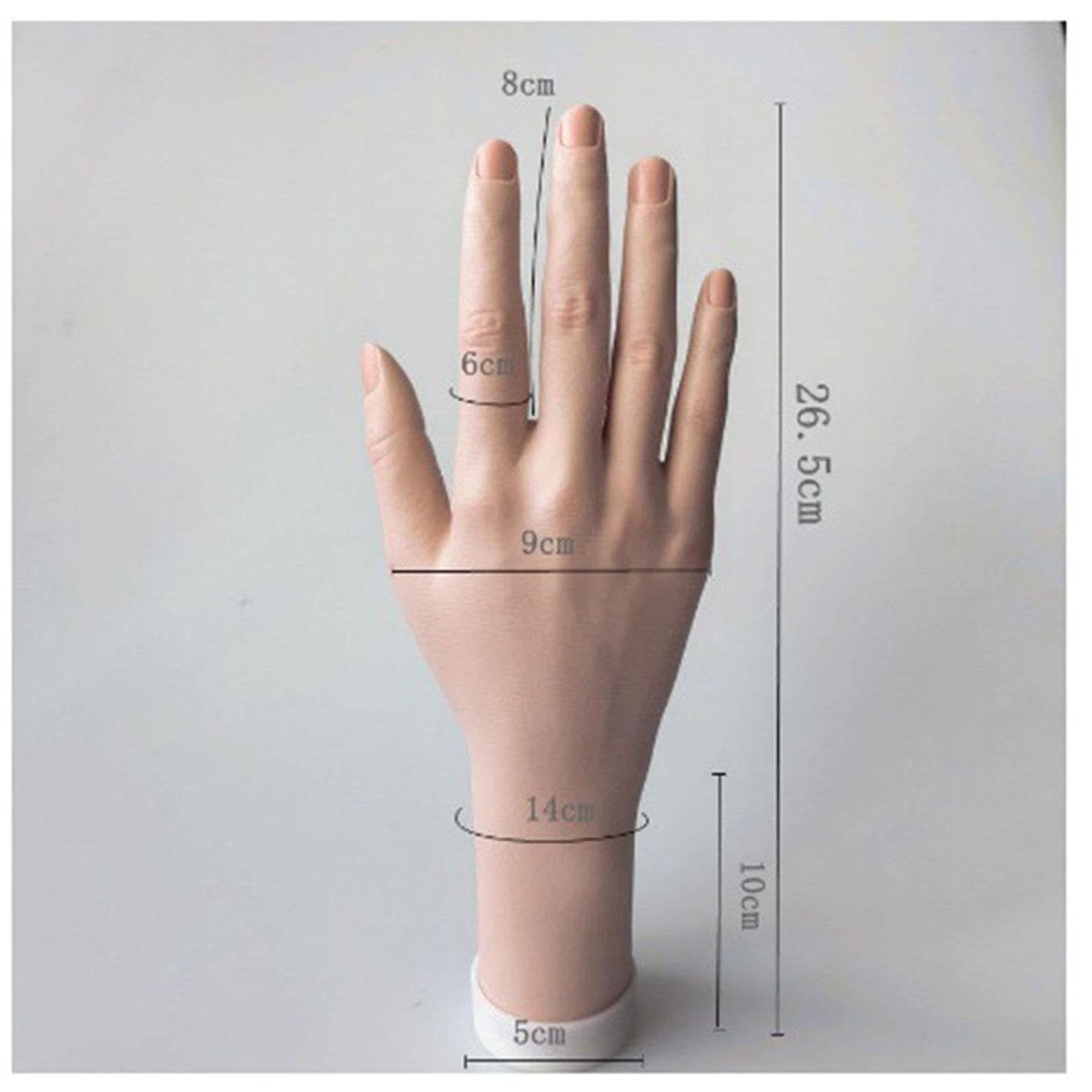 MagiDeal Modèle de main féminine, doigt Flexible montrant une fausse main de Mannequin pliable pour l'exposition de bijoux, accessoires Photo, pratique du Nail, Gauche et Droite