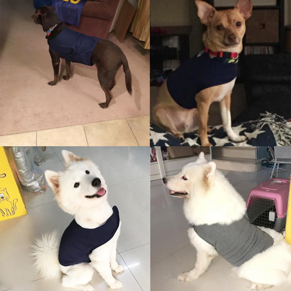 Haokaini Giacca per Cani Anti-Ansia Cappotto Calmante per Cani Camicia Antistress per Animali Domestici Giubbotto Calmante Caldo Giacca per Cani Ansia per Cani Tuono Leggero (Grigio Chiaro
